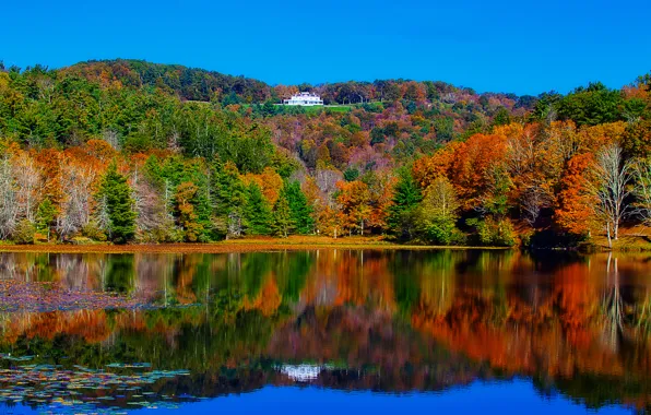 Картинка осень, лес, деревья, пейзаж, озеро, дом, отражение, река, особняк