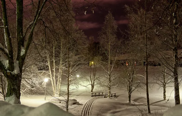 Картинка зима, свет, снег, деревья, ночь, огни, парк, лыжня