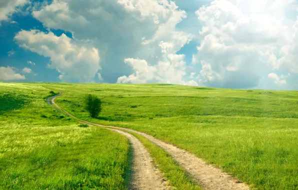 Картинка дорога, зелень, поле, лето, небо, трава, облака
