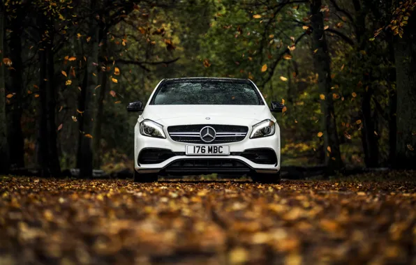 Картинка осень, белый, листья, Mercedes-Benz, мерседес, AMG, амг, A-class, W176