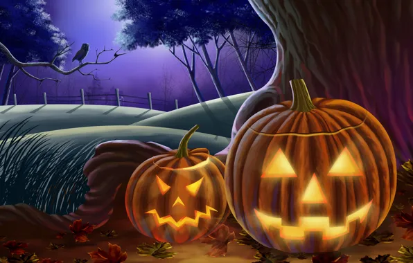 Картинка сова, тыквы, хэллоуин, halloween