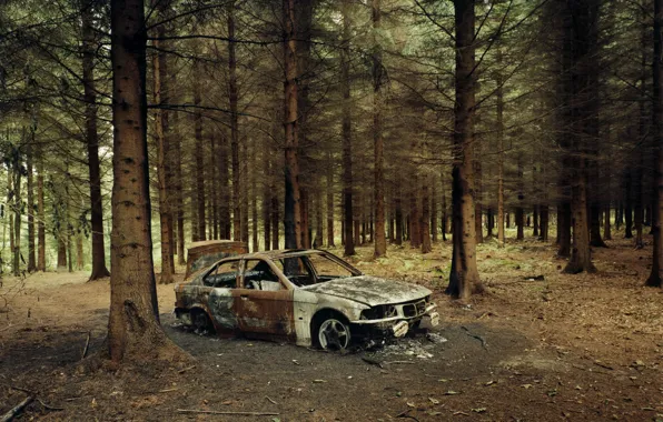 Картинка лес, пожар, BMW, остов, автомобиль