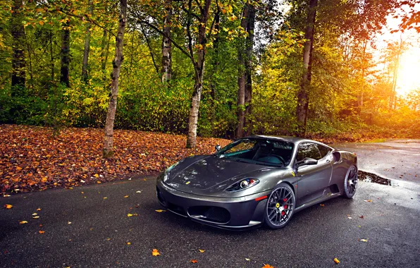 Картинка Ferrari, Green, Sun, Autumn, Tuning, asphalt, Silver, 430, Wheels, Trees, Leaf