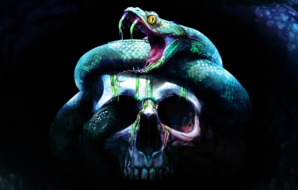 Картинка фон, страх, череп, змея, skull
