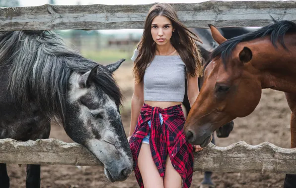 Картинка взгляд, девушка, забор, лошади