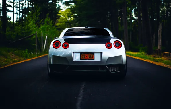 Картинка GTR, Nissan, R35, Road, Silver, Forest, Rear, Ligth
