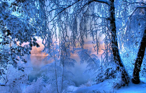 Картинка иней, лес, снег, озеро, дерево, рассвет, Зима, сказка, Новый год, forest, winter, lake, snow, tree, …