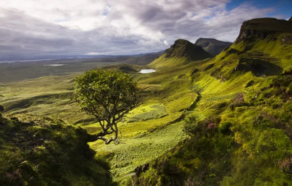 Картинка горы, дерево, остров, озера, Шотландия, Скай