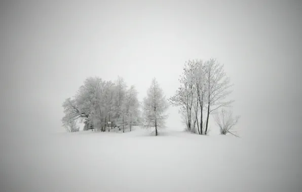 Картинка холод, зима, снег, деревья, пейзажи, новый год, мороз, вьюга, метель, пурга