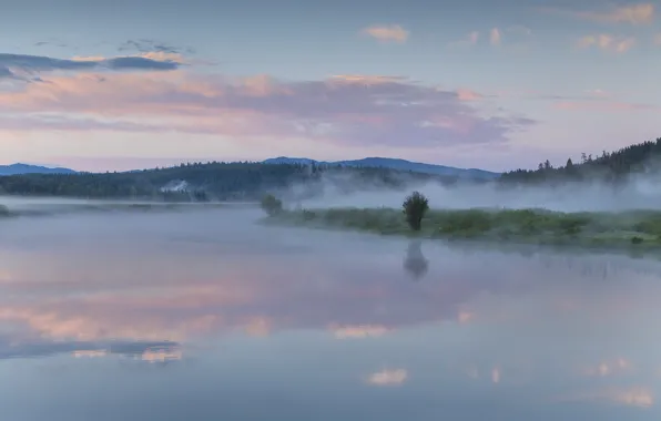 Картинка лес, небо, облака, туман, озеро, отражение, утро, Вайоминг, USA, США, forest, Wyoming, sky, clouds, lake, …