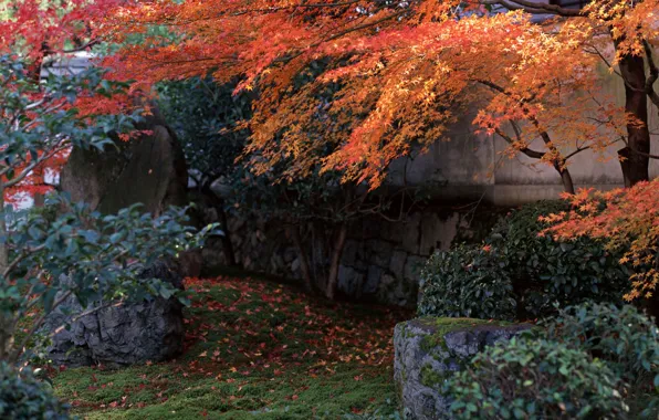 Картинка Осень, Япония, Сад