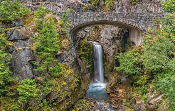 Картинка деревья, горы, мост, река, скалы, водопад, поток, Вашингтон, США, Mount Rainier National Park