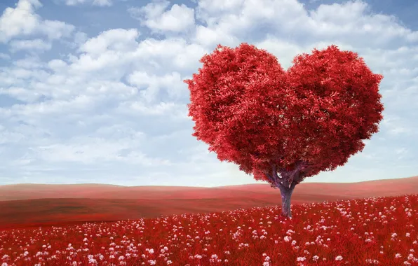 Картинка поле, небо, облака, любовь, цветы, дерево, романтика, сердце, love, День святого Валентина, sky, field, heart, …