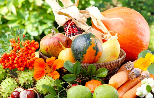 Картинка зелень, осень, цветы, природа, яблоки, мак, кукуруза, тыква, корзинка, овощи, груши, морковь, рябина, каштаны