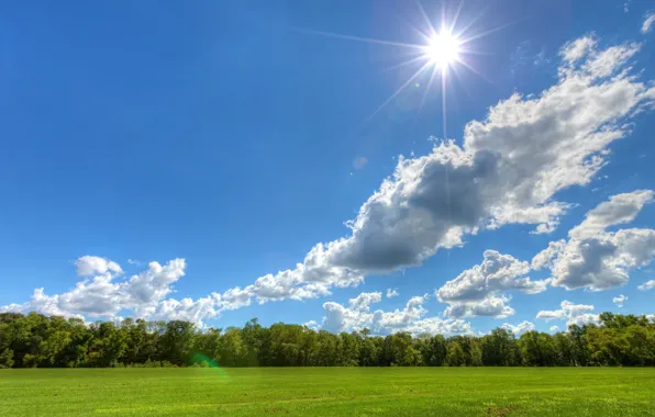 Картинка небо, облака, деревья, луг, солнечный день, солнышко
