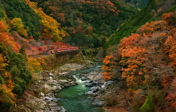 Картинка дорога, осень, лес, деревья, горы, река, камни, поезд