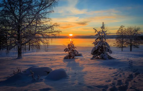 Картинка зима, лес, снег, деревья, закат, река, берег, сугробы, Швеция, Arvika