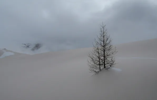 Картинка зима, небо, облака, снег, горы, дерево