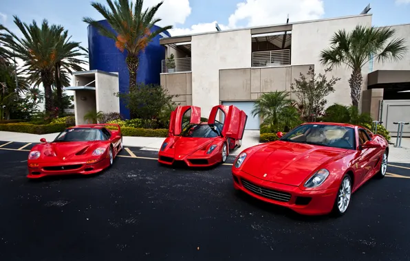 Картинка красный, пальмы, здание, Ferrari, red, феррари, 599, enzo, building, palm, f50