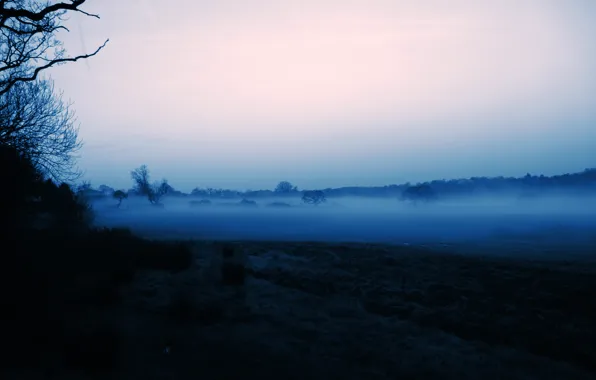 Картинка небо, деревья, туман, утро, силуэт