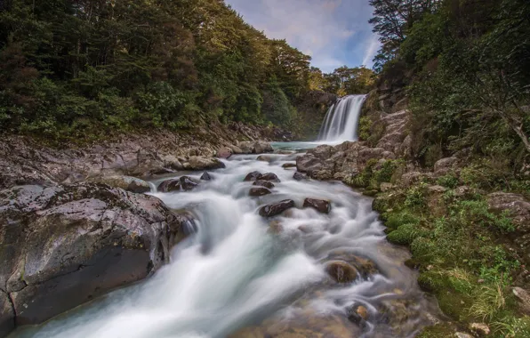 Картинка лес, река, камни, водопад, Новая Зеландия, New Zealand, Tawhai Falls