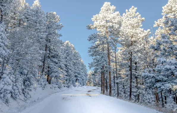 Картинка зима, дорога, лес, небо, снег, фото