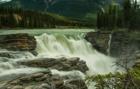 Картинка лес, деревья, река, камни, водопад, Канада, Альберта, Jasper, Alberta, Canada, Jasper National Park, Национальный парк …