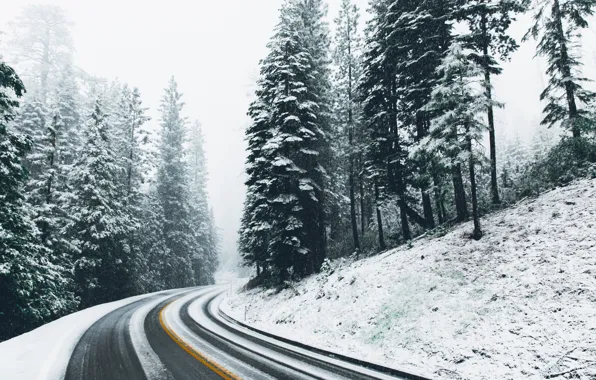 Картинка зима, дорога, лес, снег, природа