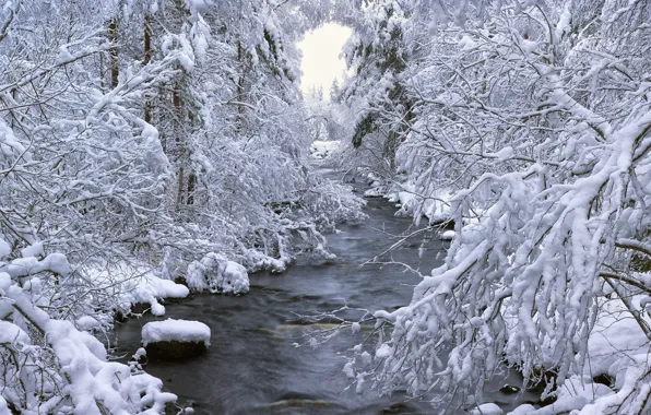 Картинка зима, лес, снег, деревья, река, Швеция, Sweden, Dalarna, Böle