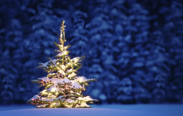 Картинка lights, елка, Новый Год, Рождество, Christmas, night, winter, snow, tree