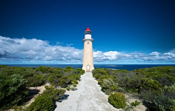 Картинка облака, океан, побережье, маяк, Австралия, кусты, Australia, Lighthouse, Kangaroo Island
