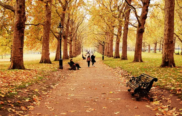 Картинка осень, листья, деревья, пейзаж, скамейка, природа, дети, люди, человек, дорожка, девочка, прогулка, листопад, тропинка, время …