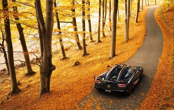 Картинка осень, фон, Koenigsegg, суперкар, вид сзади, Agera, гиперкар, Агера, Кёнигсегг