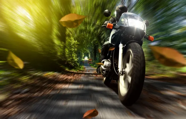 Картинка осень, листья, природа, скорость, мотоцикл, шлем, мотоциклист