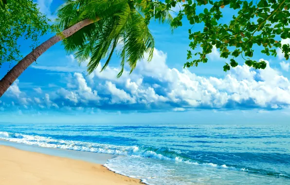 Картинка песок, море, облака, тропики, пальмы, берег, горизонт