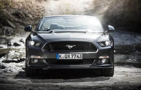 Картинка Mustang, Ford, мустанг, кабриолет, форд, Convertible, 2015, EU-spec