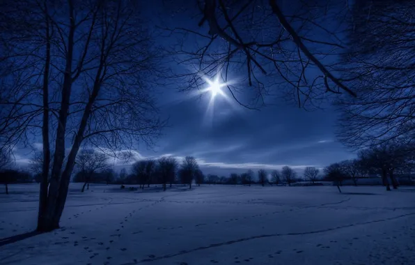 Картинка зима, снег, ночь, природа