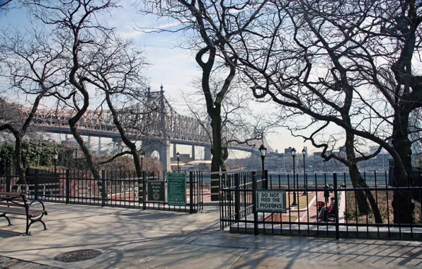 Картинка деревья, мост, парк, река, Нью-Йорк
