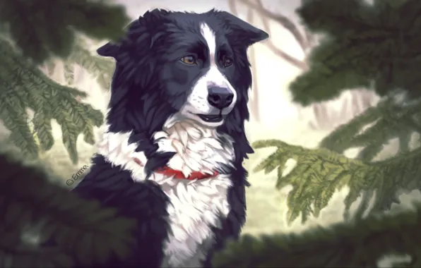 Картинка деревья, ель, собака, арт, ошейник, хвоя, Emma Jonsson