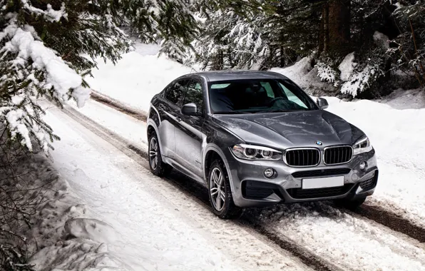 Картинка зима, снег, бмв, BMW, xDrive, UK-spec, F16, 2015, Sport Package