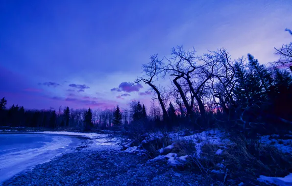 Картинка зима, снег, деревья, озеро, рассвет, зарево