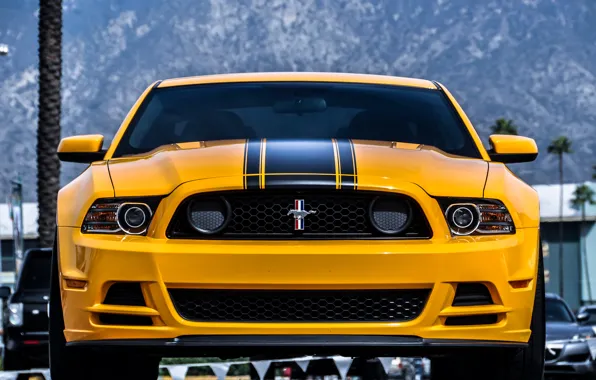 Картинка Mustang, Ford, Желтый, Boss 302, Yellow, Передок