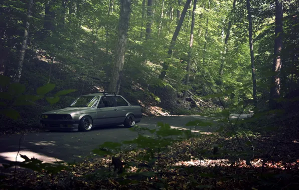 Картинка дорога, лес, серый, бмв, BMW, sedan, E30, 3 серия