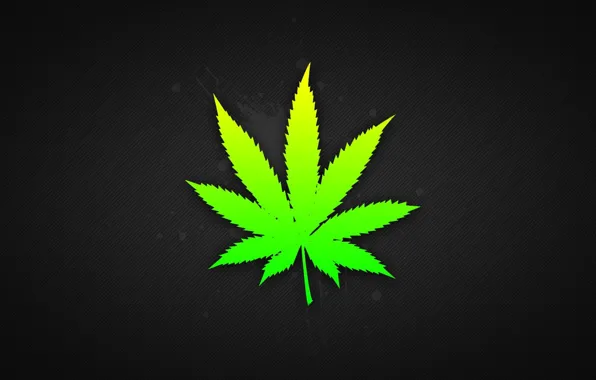 Картинка растение, конопля, марихуанна, наркотик, канабинол, трафка, канабис