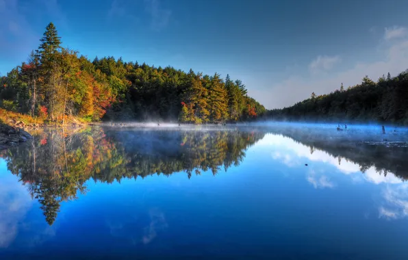 Картинка осень, лес, небо, деревья, туман, озеро, утро