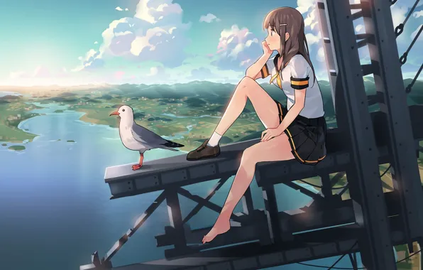 Картинка девушка, пейзаж, высота, чайка, аниме, арт, небо. облака, ddal