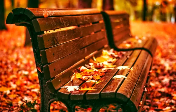 Картинка листья, скамейка, парк, Осень