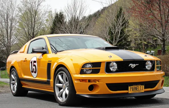 Картинка Mustang, Ford, yellow, '2006–09