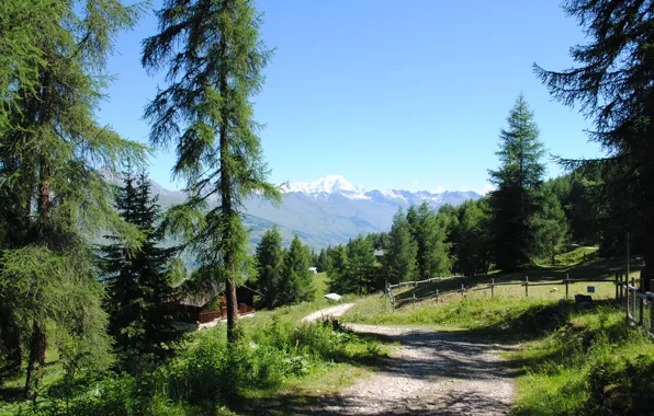 Картинка дорога, лето, село, Альпы