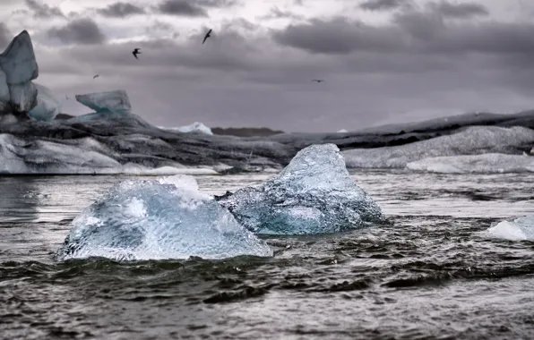 Картинка море, шторм, чайки, айсберг, льдины